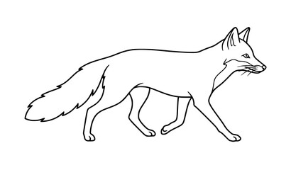 Obraz premium Minimalist Walking Fox Line Drawing Vector Illustration with Clean Wildlife Outline Isolated on White Background