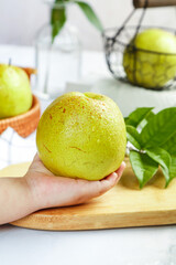Fresh Green Pear with Dew Drops in Hand © CanVan