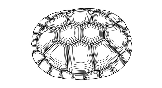 Detailed black and white illustration of a tortoise shell against white background