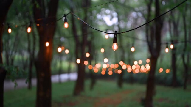Cinematic horizontal view of warm string lights illuminating a dark rainy forest with soft blurred bokeh lights in the background - 비 내리는 날 울창한 숲속 사이로 따스한 주황빛 전구 조명이 불을 밝히며 아늑하고 고즈넉한 분위기를 자아내고 배경으로 영롱
