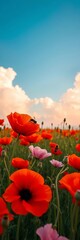 Obraz premium Vibrant poppy field with bees and clouds in blue sky, Clouds, ||Wildflowers