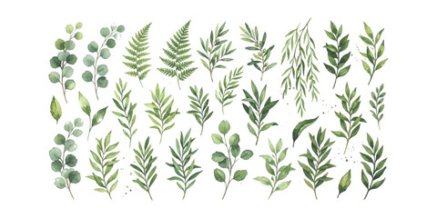 Fototapeta premium Watercolor collection of various green leaves and branches with hand drawn botanical sketches