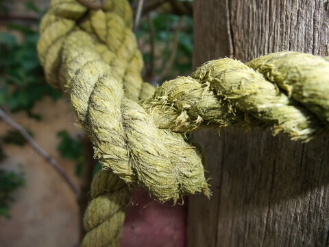 Weathered Rope on Wood Post