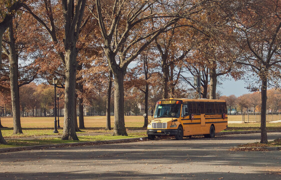 New York, EEUU. 14 Noviembre 2019. Autob&uacute;s escolar amarillo aparcado en las afueras de Brooklyn. Paisaje oto&ntilde;al en Brooklyn Marine Park en Long Island.