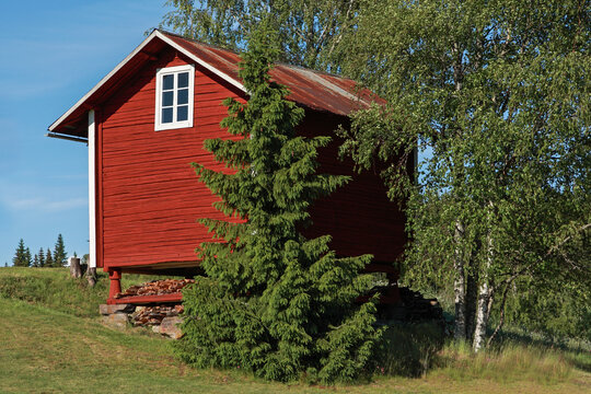 Authentic photo of a traditional red wooden aitta storage shed standing on stones in a lush green Scandinavian summer landscape with birch trees under a clear blue sky.