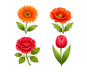 Obraz premium Flower Elements Collection