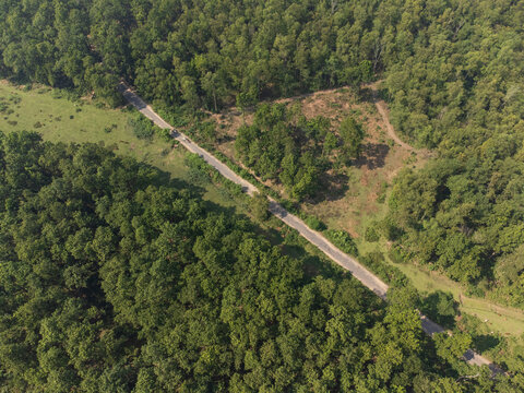 Sherpur, Bangladesh - 08 November 2025: Aerial view of a narrow asphalt road winding through a lush green forest with dense tree canopies and patches of open land.