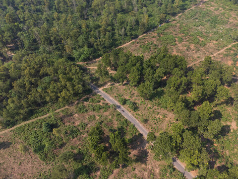 Sherpur, Bangladesh - 08 November 2025: Aerial view of a narrow asphalt road winding through a dense green forest and patches of cleared land under bright daylight.
