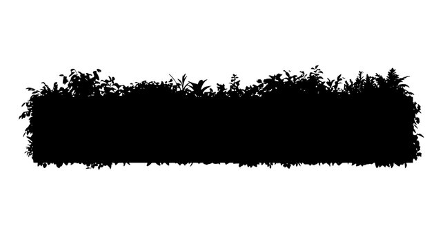 Black silhouette of a rectangular garden hedge on white background