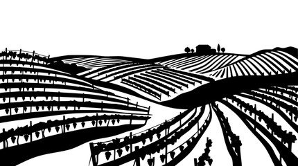 Fototapeta premium stylized black and white vineyard landscape with grapevines and farmhouse