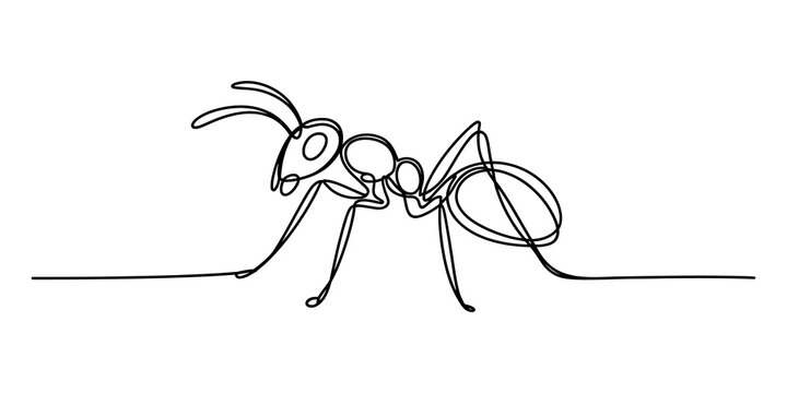 Continuous single line drawing of a small ant insect