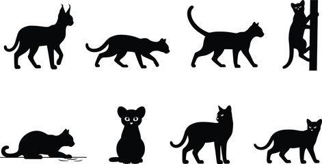 Set of Domestic and Wild Cat Silhouettes Showing Various Poses and Activities in Vector Style © HASINA
