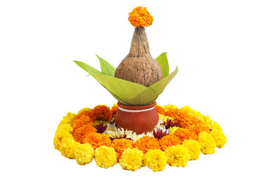 Indian festival akshaya tritiya concept : Decorative coconut with green leaf in clay pot on white background