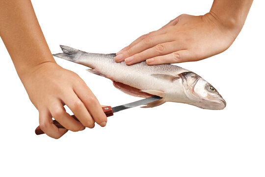 Woman cooking raw fish on kitchen