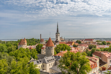 Obraz premium Panoramic view of Tallinn Old Town in Estonia with medieval towers, historic rooftops and summer greenery