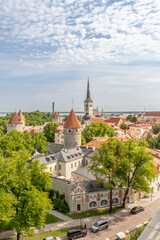 Obraz premium Historic skyline of Tallinn Estonia featuring medieval city walls, church spires and red rooftops under dramatic clouds