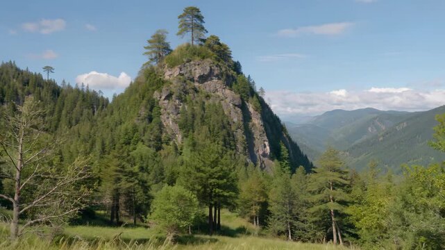 Rocks and trees rising in the mountains and forests, natural scenery of mountaintop trees