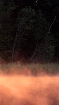 morning steam over the lake