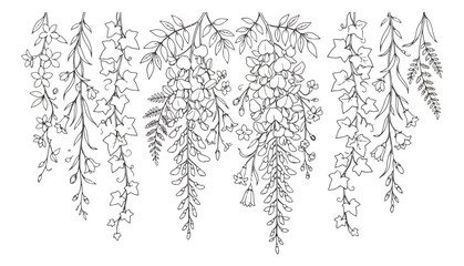 Hand drawn botanical hanging vines and flowers, black and white line art floral border, elegant wisteria and ivy leaf vector illustrations © chasad