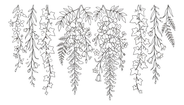 Hand drawn botanical hanging vines and flowers, black and white line art floral border, elegant wisteria and ivy leaf vector illustrations
