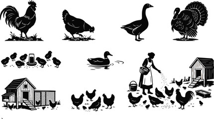Poultry farming vector silhouettes set including rooster hen goose turkey duck chicks coop and woman feeding chickens in image_ea4fd0.png © Sirajul