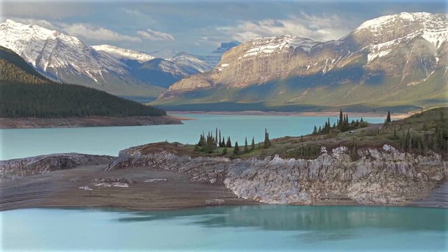 Forward drone flyby of pine trees on Abraham Lake peninsula