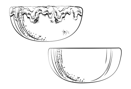 Artisan earthenware flowerpot planter or shallow bowl with smooth body and delicate glaze highlights. Isolated element, hand drawn vector ink. Mood boards, nursery identities, styling presentations.