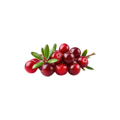 Obraz premium Fresh red cranberry berries with green leaves branch macro close up studio lighting detailed photography isolated on white background