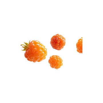 Fresh golden raspberries floating with vibrant natural texture juicy organic berry collection premium fruit isolated on white background