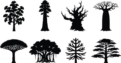 Tree silhouettes collection featuring black vector shapes of ginkgo baobab sequoia banyan and dragon blood tree © Mukta