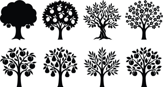 Fruit trees silhouette collection with black vector icons of apple lemon olive cherry pear and peach