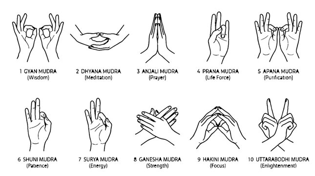 Collection of Yoga Mudra Hand Gestures for Meditation and Spiritual Practice.