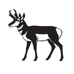 Fototapeta premium Black and white silhouette of a pronghorn antelope standing