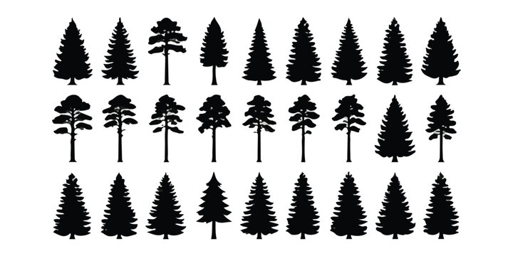 Set of black pine and fir tree silhouettes for forest and nature design projects