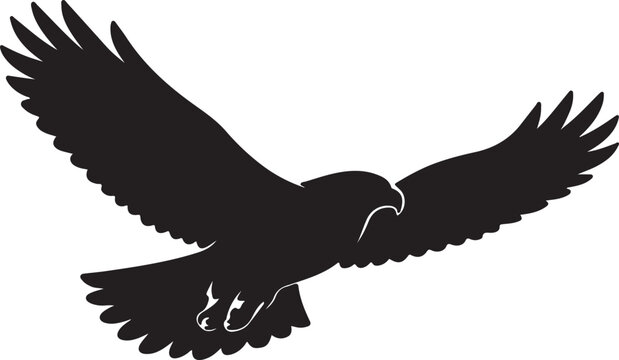 Cooper&rsquo;s Hawk silhouette collection vector bird wildlife design.