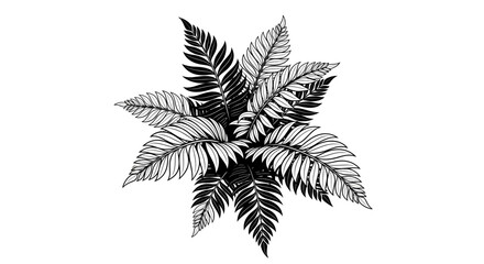Black and white tropical fern leaf botanical illustration isolated on white background © gambar
