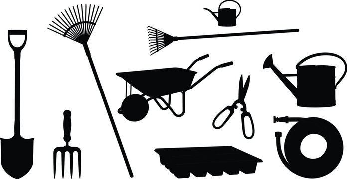 High Quality Flat Black Vector Silhouettes Of Desert Wildlife And Reptiles For Commercial Graphic Design Use