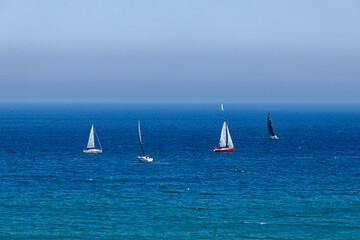 Fototapeta premium Four sailboats with white sails navigating on a calm blue ocean under a clear sky, distant shoreline barely visible on the horizon