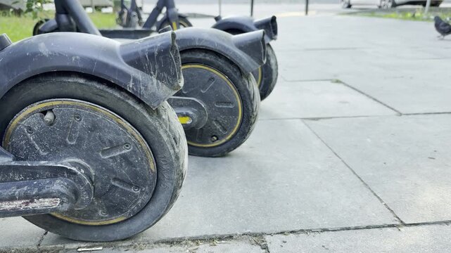 Electric scooters stand parked in a neat line on a paved walkway. Their dusty wheels rest quietly, evoking a calm and expectant feeling on a peaceful day.