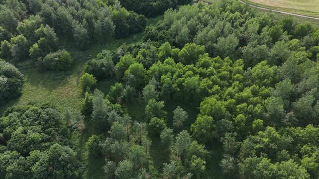Aerial drone 4K clip showing central buildings bordered by open fields with warm daylight Burton on Trent