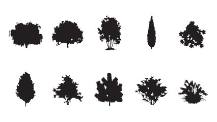 Set of trees, plants and bushes silhouettes isolated on transparent background for landscape design. © Sara Studio