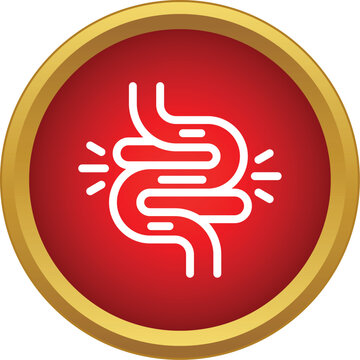 Human intestines indicating medical discomfort or gastrointestinal problems in a red circle