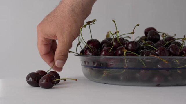 Ripe fresh dark red sweet cherries close-up for summer fruit and seasonal produce content