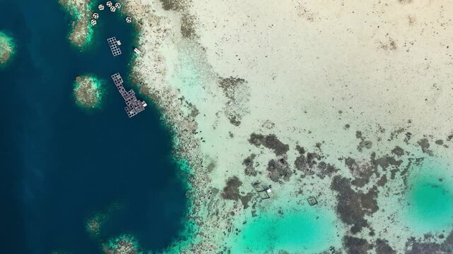 Stunning aerial view captures a vibrant turquoise shallow reef featuring a unique, perfectly circular blue hole contrasting sharply against the deep navy blue ocean and a nearby white sand shoreline