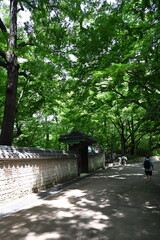 Fototapeta premium korean traditional building in garden