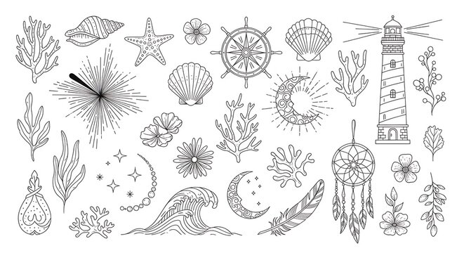 Detailed botanical illustration of various plant species.
