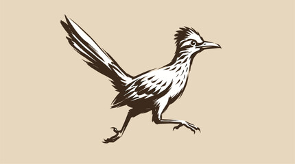 Fototapeta premium Roadrunner bird vintage artwork. Desert runner vector design. Wild bird sketch.