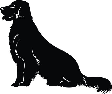 Spaniel dog silhouette black vector