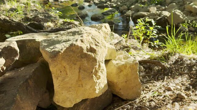 a small stream flows over rocks in a quiet woodland area. Birds sing overhead while the water murmurs gently against the stones, creating a peaceful natural sound.