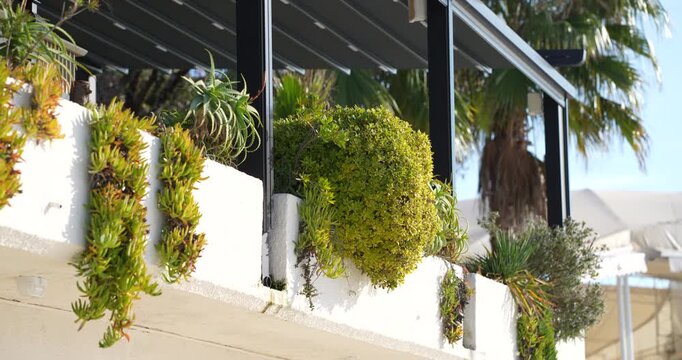 Building exterior with plants on the facade	